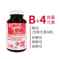 b+4